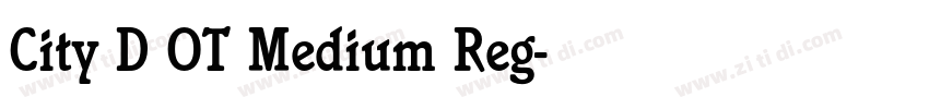 City D OT Medium Reg字体转换